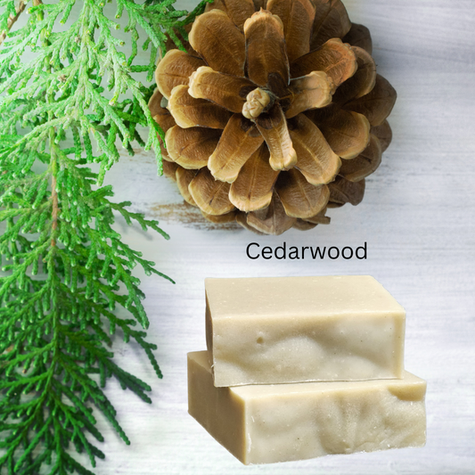 Moringa & Cedarwood Bar Soap